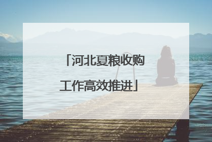 河北夏粮收购工作高效推进
