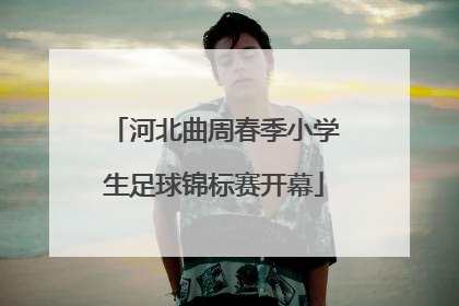 河北曲周春季小学生足球锦标赛开幕