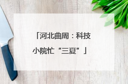 河北曲周：科技小院忙“三夏”