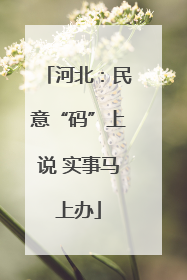 河北：民意“码”上说 实事马上办