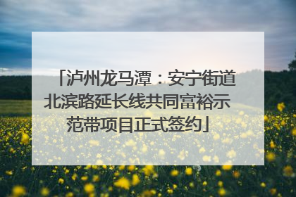 泸州龙马潭：安宁街道北滨路延长线共同富裕示范带项目正式签约