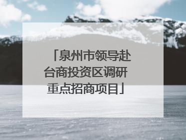 泉州市领导赴台商投资区调研重点招商项目