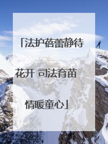 法护蓓蕾静待花开 司法育苗情暖童心