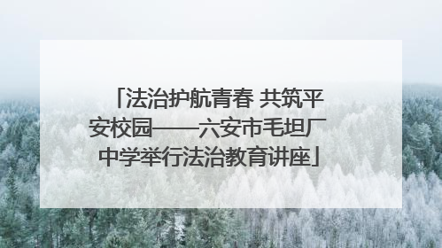 法治护航青春 共筑平安校园——六安市毛坦厂中学举行法治教育讲座