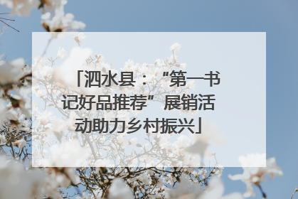 泗水县：“第一书记好品推荐”展销活动助力乡村振兴