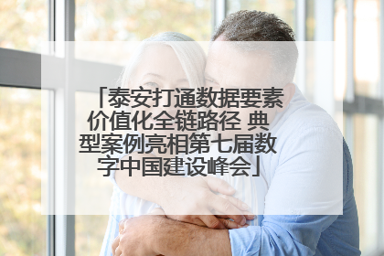 泰安打通数据要素价值化全链路径 典型案例亮相第七届数字中国建设峰会