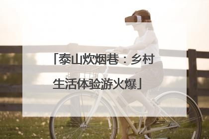 泰山炊烟巷：乡村生活体验游火爆
