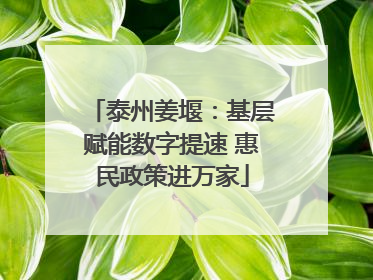 泰州姜堰：基层赋能数字提速 惠民政策进万家