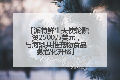 派特鲜生天使轮融资2500万美元，与海鼎共推宠物食品数智化升级