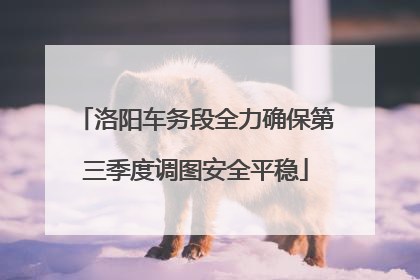 洛阳车务段全力确保第三季度调图安全平稳