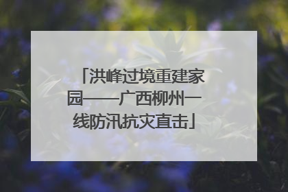 洪峰过境重建家园——广西柳州一线防汛抗灾直击