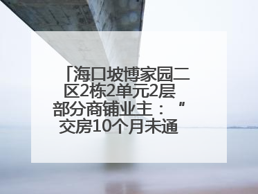 海口坡博家园二区2栋2单元2层部分商铺业主：“交房10个月未通自来水”