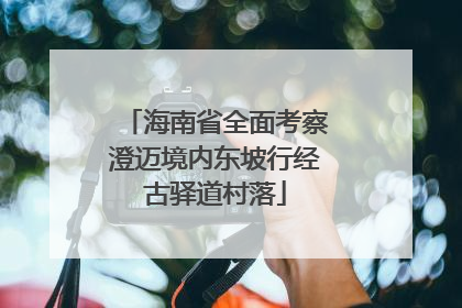 海南省全面考察澄迈境内东坡行经古驿道村落