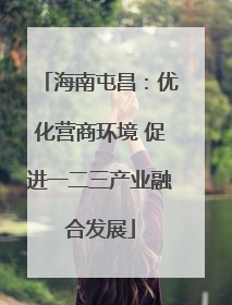 海南屯昌：优化营商环境 促进一二三产业融合发展