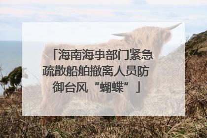 海南海事部门紧急疏散船舶撤离人员防御台风“蝴蝶”