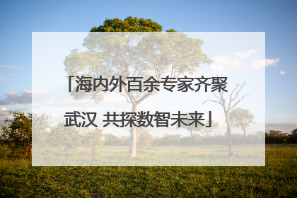 海内外百余专家齐聚武汉 共探数智未来
