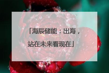 海辰储能：出海，站在未来看现在