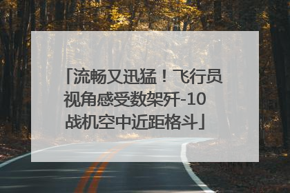 流畅又迅猛！飞行员视角感受数架歼-10战机空中近距格斗
