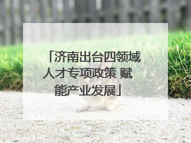 济南出台四领域人才专项政策 赋能产业发展