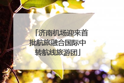 济南机场迎来首批航旅融合国际中转航线旅游团