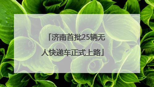 济南首批25辆无人快递车正式上路
