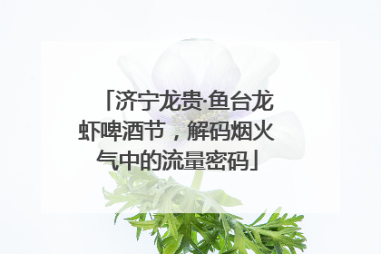 济宁龙贵·鱼台龙虾啤酒节，解码烟火气中的流量密码