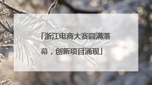 浙江电商大赛圆满落幕，创新项目涌现