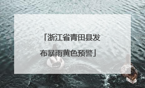 浙江省青田县发布暴雨黄色预警