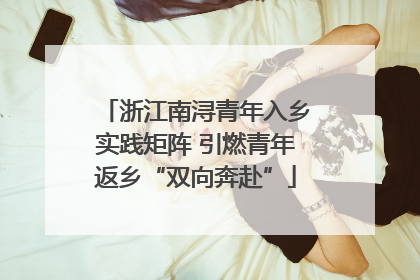 浙江南浔青年入乡实践矩阵 引燃青年返乡“双向奔赴”