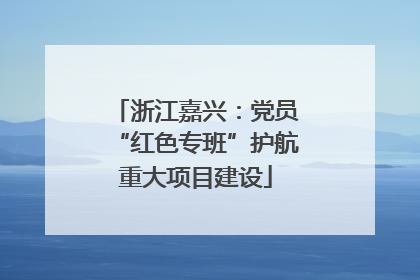 浙江嘉兴：党员“红色专班”护航重大项目建设