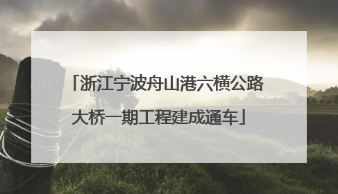 浙江宁波舟山港六横公路大桥一期工程建成通车