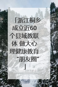 浙江桐乡成立近60个县域教联体 做大心理健康教育“朋友圈”