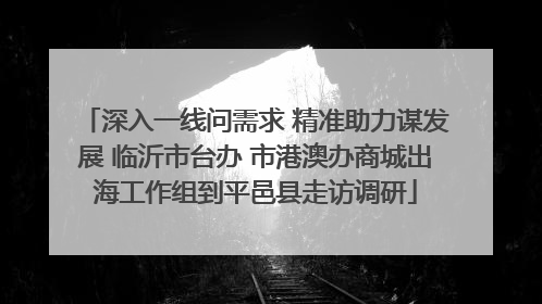深入一线问需求 精准助力谋发展 临沂市台办 市港澳办商城出海工作组到平邑县走访调研