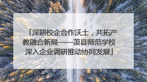 深耕校企合作沃土，共拓产教融合新局——萧县师范学校深入企业调研推动协同发展
