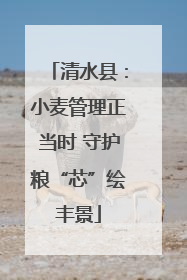清水县：小麦管理正当时 守护粮“芯”绘丰景