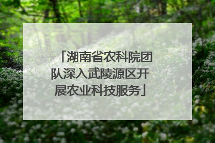 湖南省农科院团队深入武陵源区开展农业科技服务