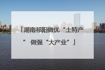 湖南祁阳做优“土特产” 做强“大产业”