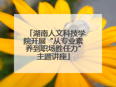 湖南人文科技学院开展“从专业素养到职场胜任力”主题讲座