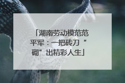 湖南劳动模范范平军：一把砖刀“砌”出精彩人生