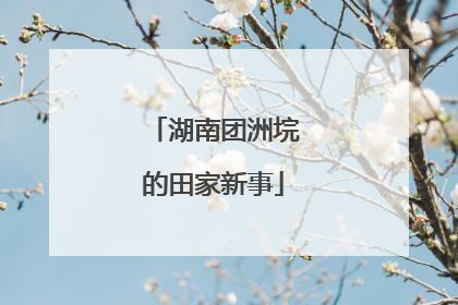 湖南团洲垸的田家新事