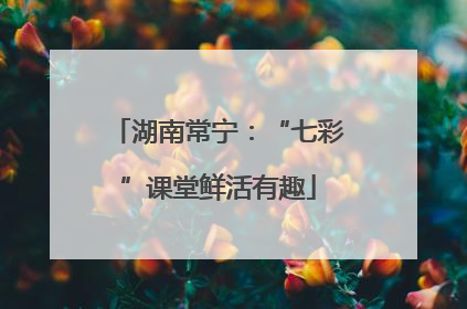 湖南常宁：“七彩”课堂鲜活有趣