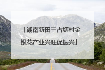 湖南新田三占塘村金银花产业兴旺促振兴
