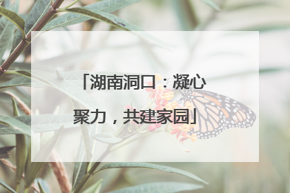 湖南洞口：凝心聚力，共建家园