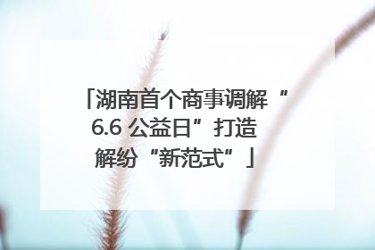 湖南首个商事调解“6.6 公益日”打造解纷“新范式”