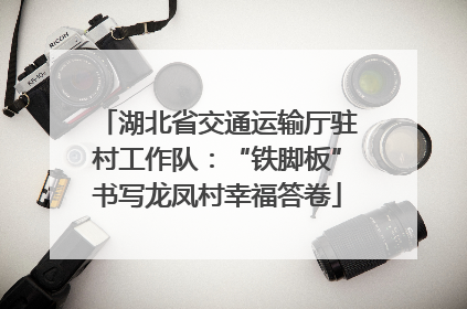 湖北省交通运输厅驻村工作队：“铁脚板”书写龙凤村幸福答卷
