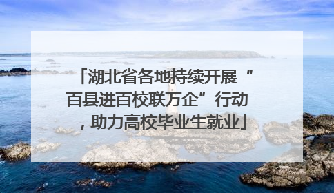 湖北省各地持续开展“百县进百校联万企”行动，助力高校毕业生就业