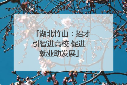 湖北竹山：招才引智进高校 促进就业助发展