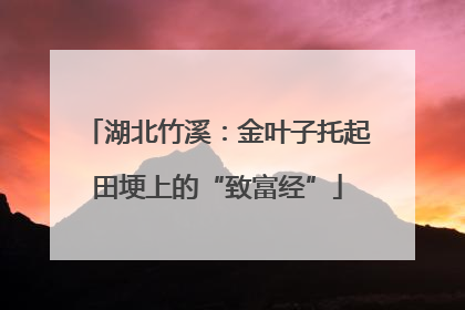 湖北竹溪：金叶子托起田埂上的“致富经”