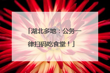 湖北多地：公务一律扫码吃食堂！