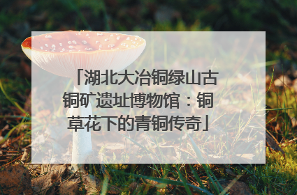 湖北大冶铜绿山古铜矿遗址博物馆：铜草花下的青铜传奇